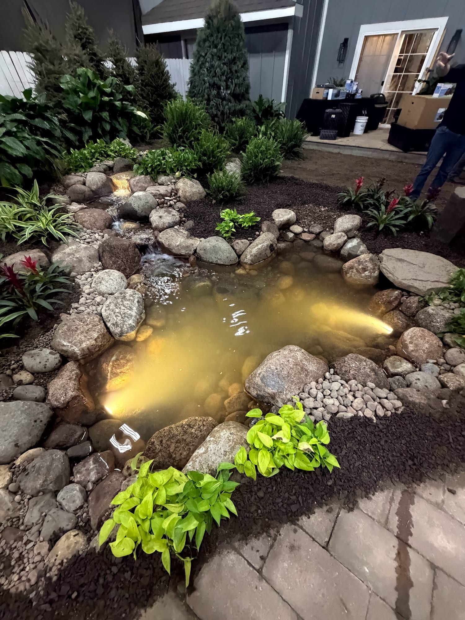 Installed backyard pond with natural stone edge and aquatic plantings
